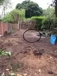 old patio under laurels unearthed