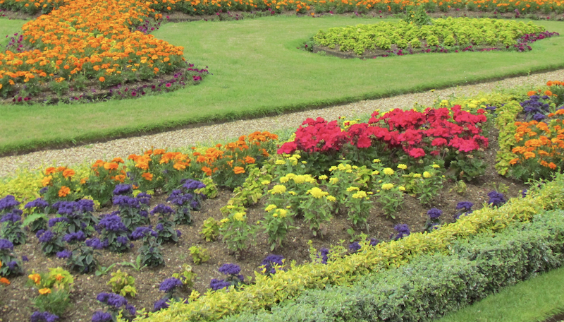 Summer flower beds