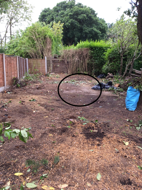 old patio under laurels unearthed