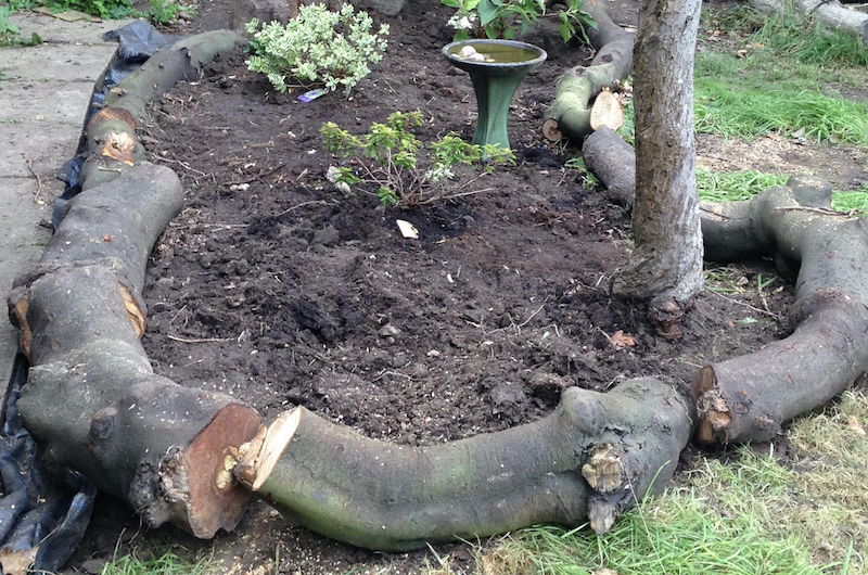 Garden bed edged with logs